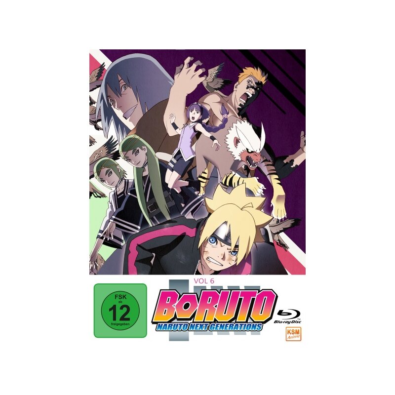 Season 6 (Boruto: Naruto Next Generations)