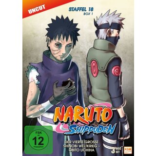 Naruto Shippuden - Staffel 18.1: Episode 593-602 (2 DVDs)