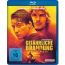 Gefährliche Brandung - Point Break (Blu-ray)