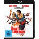 Angst ist der Schlüssel (Blu-ray)