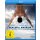 Peaceful Warrior - Der Pfad des friedvollen Kriegers (Blu-ray)